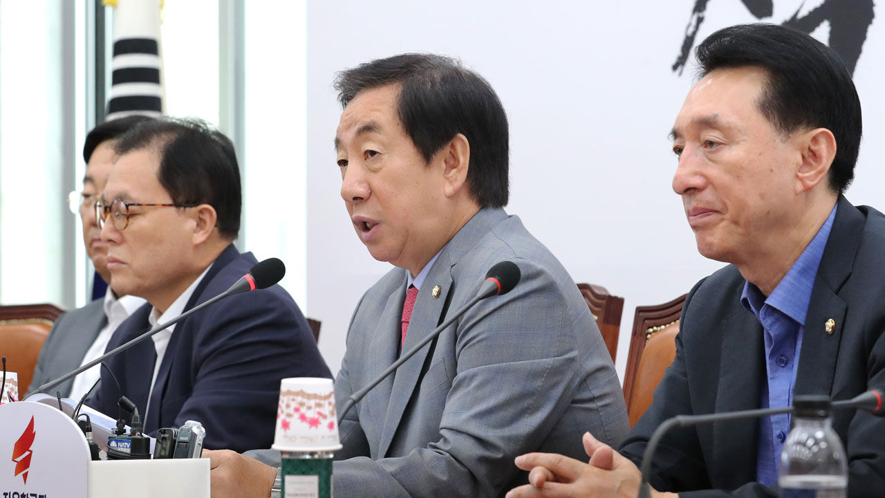 기사 대표 이미지:김성태 "文 정부 한반도 운전자, 북한산 석탄 운송자 아니길"