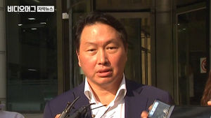 [자막뉴스]최태원 법정 증언