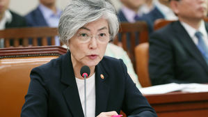 강경화 "남북경협 속도 미국과 인식 차 좁히기 위해 소통"