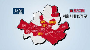 서울 15개 구 투기지역으로 '꽁꽁'…집값 이번엔 잡힐까
