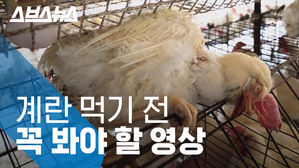 관련 사진