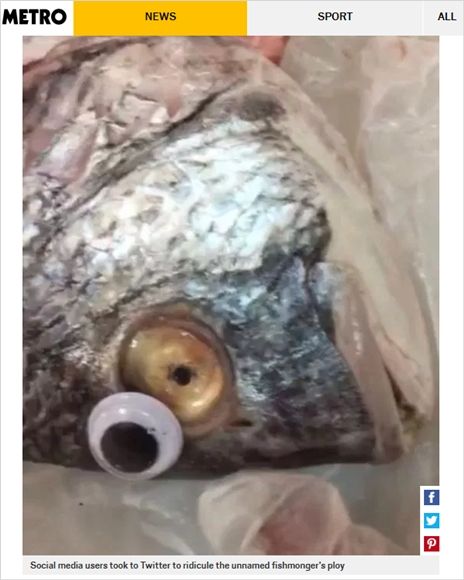 생선에 플라스틱 눈알 붙였다가 폐점 당한 가게
