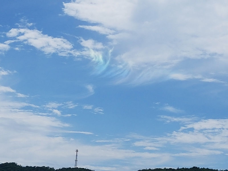 보령 채운