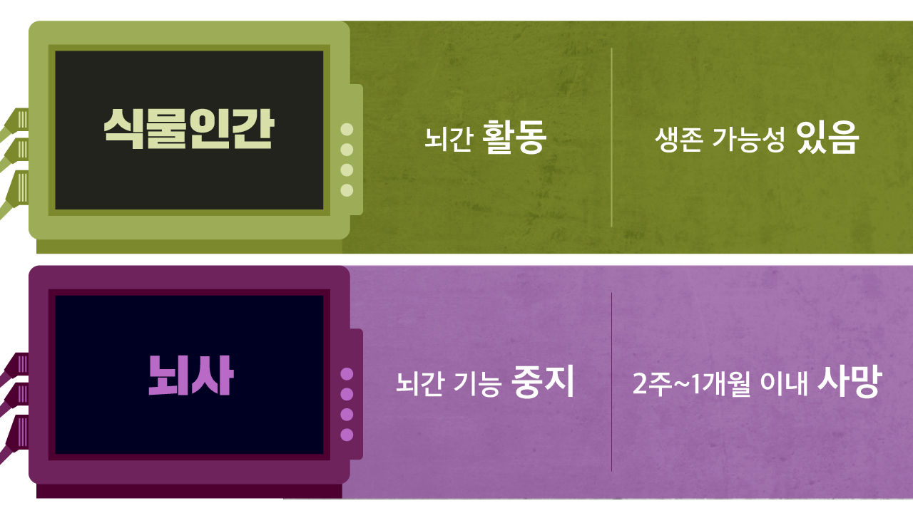 [리포트+] 9월 9일은 '장기기증의 날'…소중한 '생명나눔' 한 번으로 9명의 생명 구할 수 있다