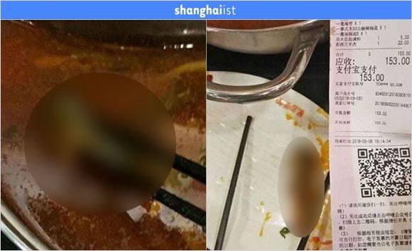 '훠궈' 속 죽은 쥐 발견한 임산부에게 낙태비용 제시한 음식점