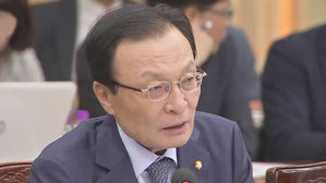 이해찬 더불어민주당 대표
