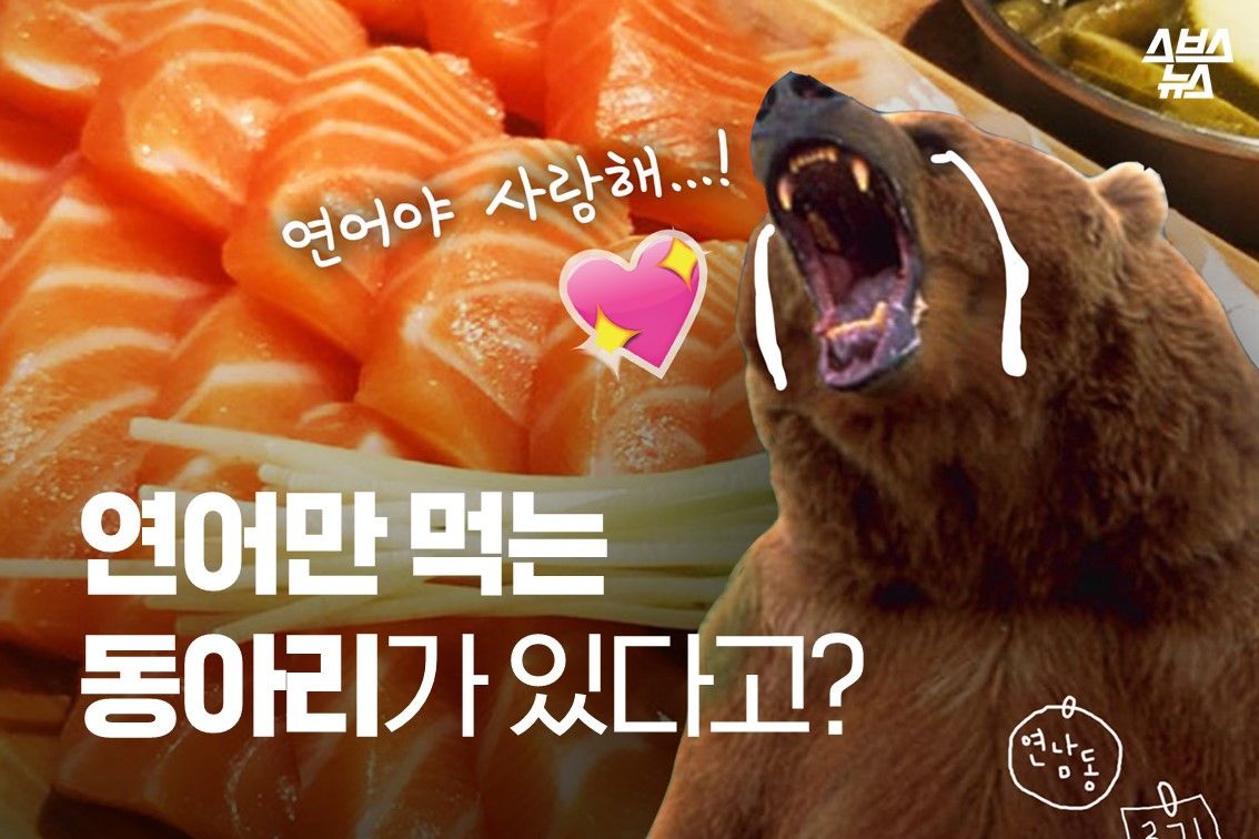 기사 대표 이미지:연어만 먹는 동아리가 있다고?