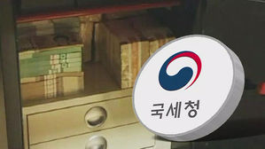 국세청, 고소득 사업자, 꼼수 탈세 조사