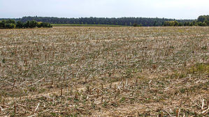 [취재파일] 온난화로 왕성해지는 해충의 식욕과 번식력…식량안보 위협한다