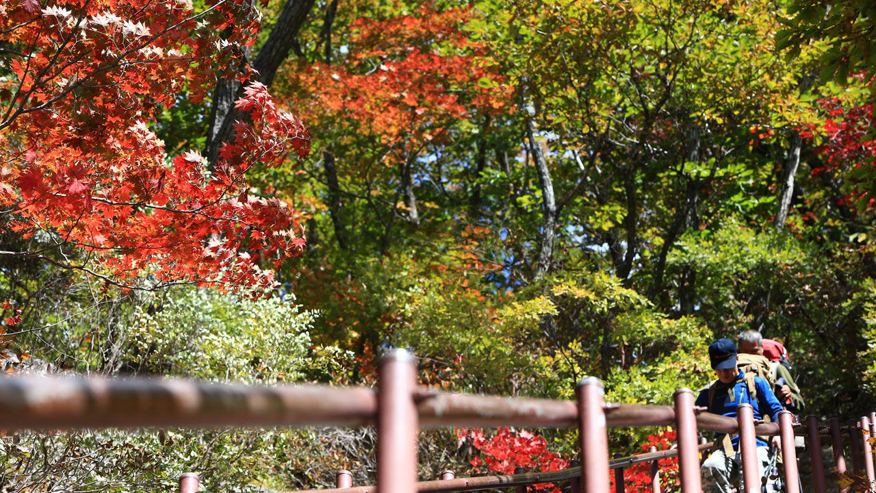 설악산 단풍 (사진=연합뉴스)