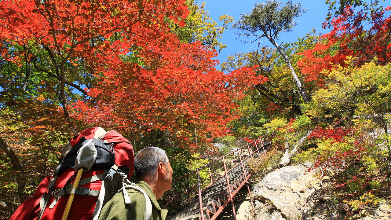 설악산 단풍 (사진=연합뉴스)