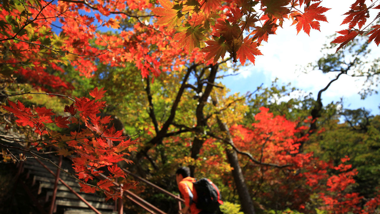 설악산 단풍 (사진=연합뉴스)
