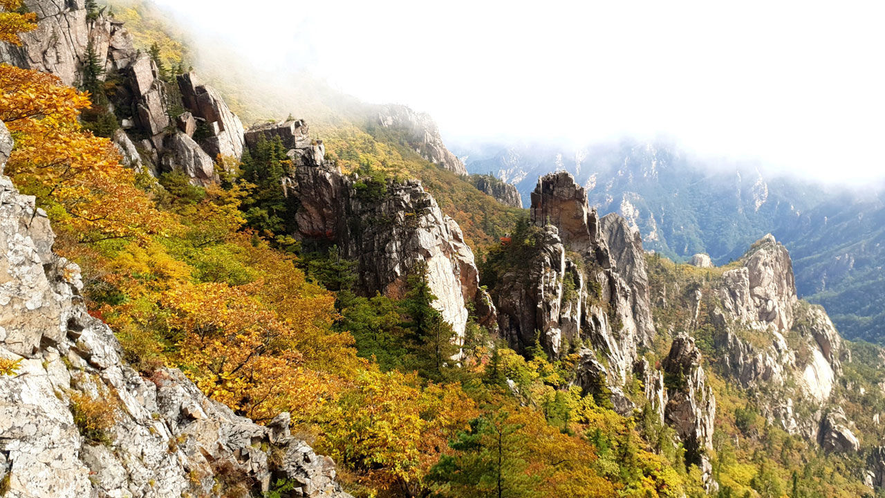 설악산 단풍 (사진=연합뉴스)
