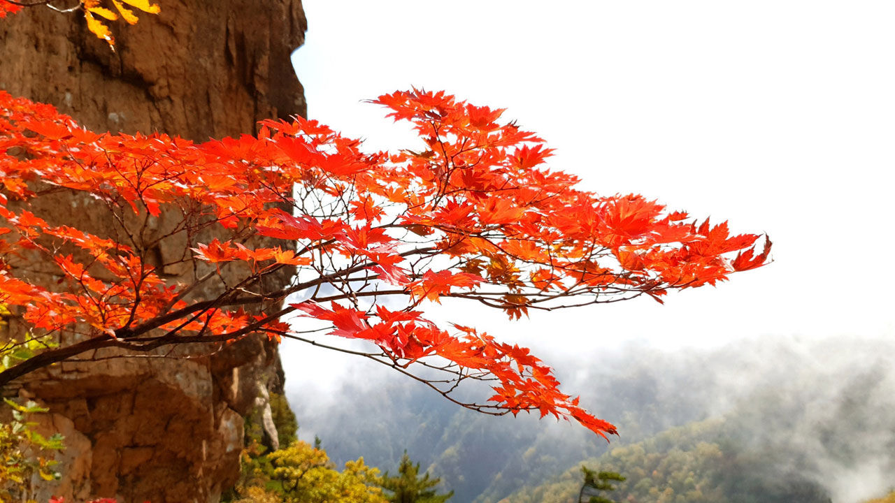 설악산 단풍 (사진=연합뉴스)