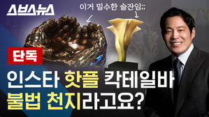 [스브스뉴스] 신세계 호텔 밀수에 불법고용까지