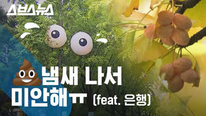 악취 난다고 베어질 위기…은행나무에 눈 달아준 이유