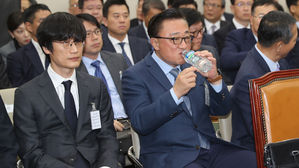 과방위 국감 / 네이버 (사진=연합뉴스)