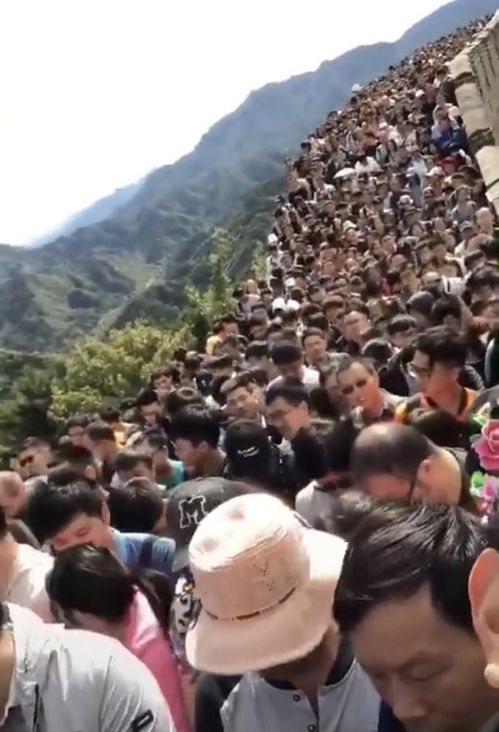 관련 사진