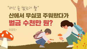 [리포트+] "버섯 좀 땄는데 뭘"…산에서 무심코 주워왔다가 벌금 수천만 원?