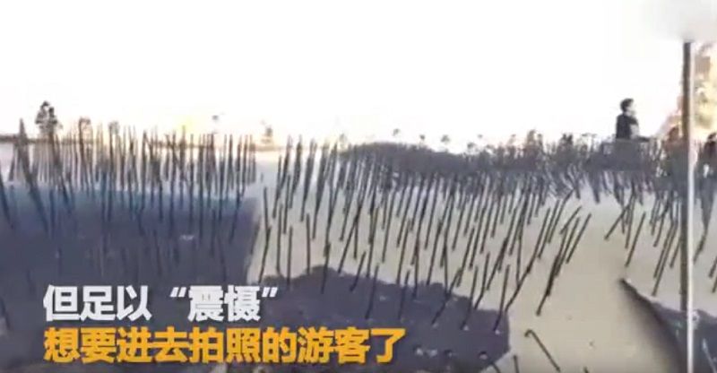 무개념 관광객 막기 위해 '쇠막대기' 울타리 설치한 지질공원