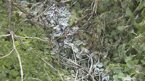 '11월 초 수준' 서울, 첫 서리 관측…평년보다 14일 일러