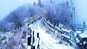 [HOT 브리핑] 설악산에 반가운 '첫눈'…'첫눈이 온다구요' 함께 들어요