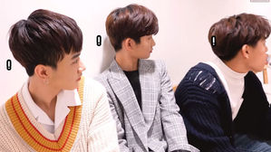 더 이스트라이트