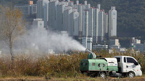 충남 아산서 AI 항원 검출…서울은 저병원성 확진