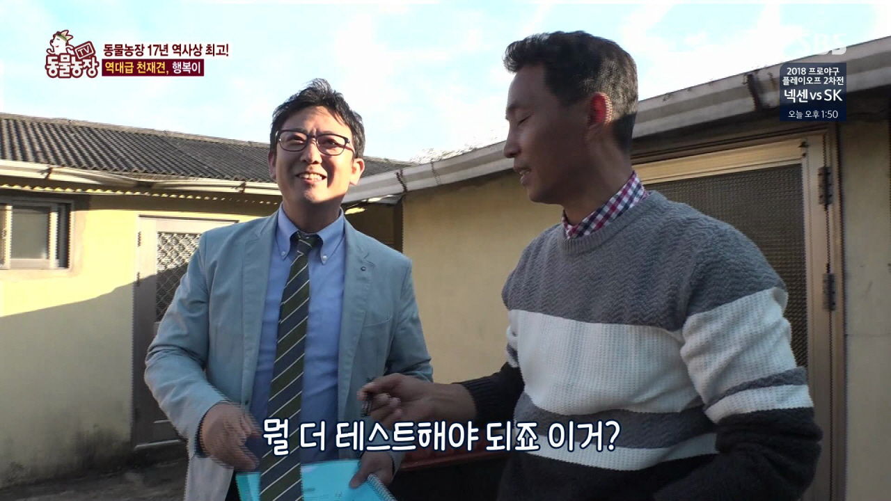 대화가 가능한 개?…동물농장 역사상 '역대급 천재견' 등장에 화제