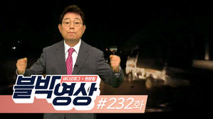 블박 232화