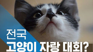 전국 고양이 자랑대회