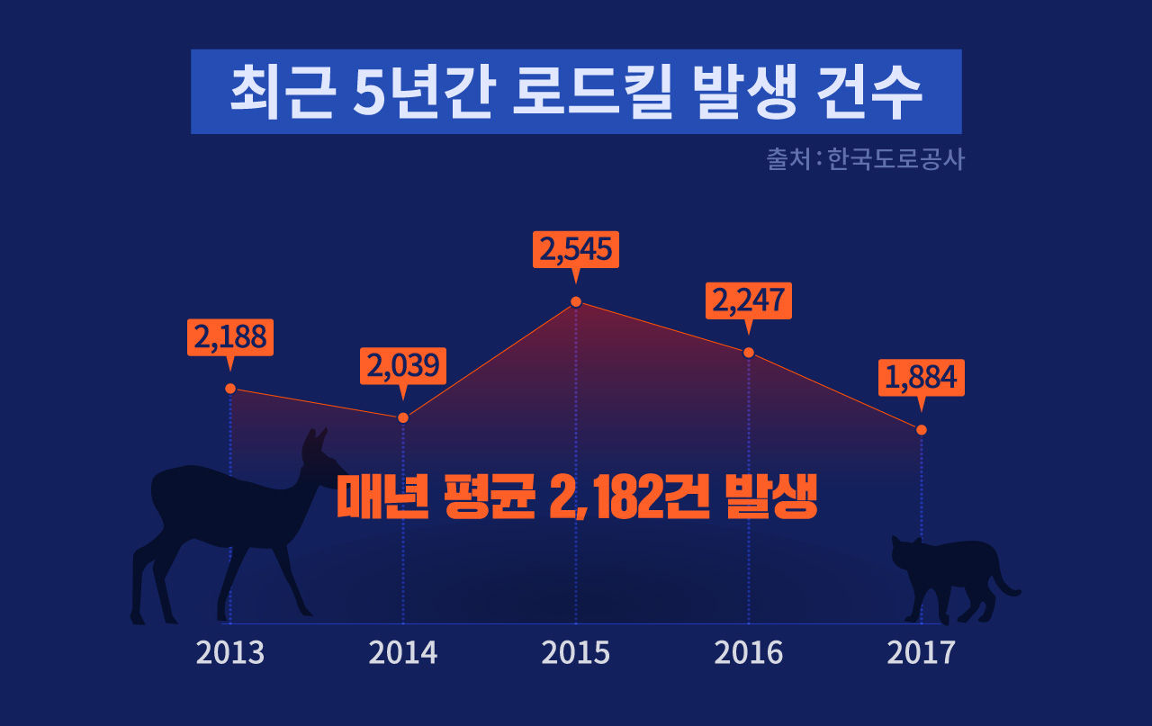 [리포트+]'로드킬 잦은 5월·11월