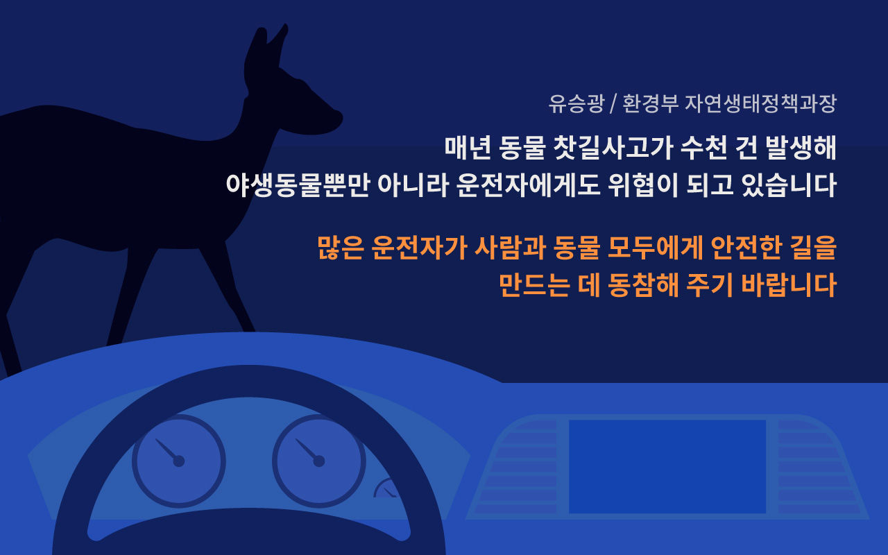 [리포트+]'로드킬 잦은 5월·11월