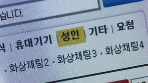 웹하드 불법음란물