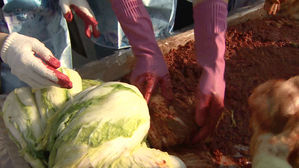 서울 김장비용 작년보다 12∼14% 늘었다…주요 채소 가격 ↑