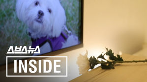 반려동물의 죽음과 함께 찾아오는 '펫로스 증후군'이란?