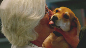 반려인들 슬프게 하는 '펫로스 증후군'…이유는?