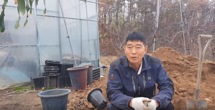 '자꾸 보게 되네