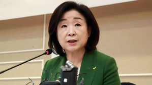 심상정 "국회, 의원정수 확대 안된다면 지역구 축소 결의해야"