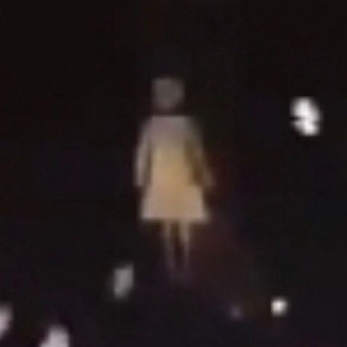 태연 콘서트에서 팬들 공포에 떨게 한 형태의 정체