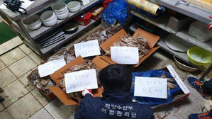 불법 대게 유통 단속 사진 (사진=해양수산부 동해어업관리단 제공/연합뉴스)