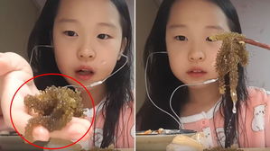 "오독오독"&hellip;'바다포도' 먹방 ASMR 영상으로 화제 모은 초등생 유튜버