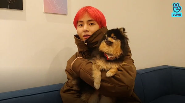 BTS V