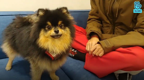 BTS V