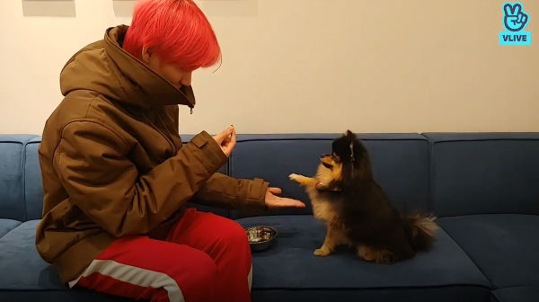 BTS V