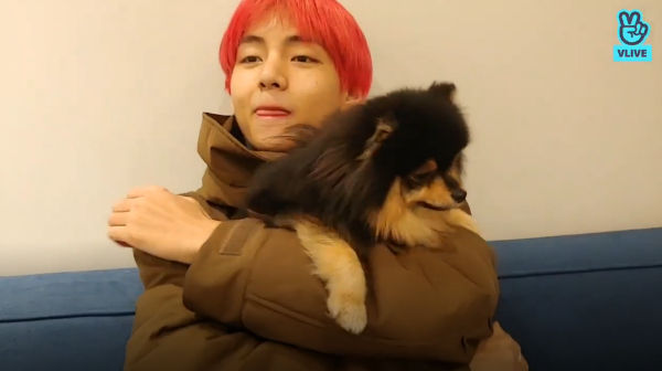BTS V