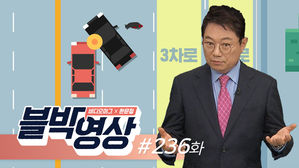 제236화 로드킬 동물 사체 피하려다 난 사고