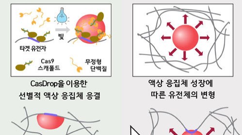 CasDrop 기술을 이용한 유전체의 역학적 구조 변환 (사진=서울대 공대 제공/연합뉴스)