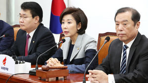 나경원 "연동형 비례대표제, 지역선거구 제도 부정할 수 있어"