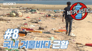 [NO플라스틱#8] 플라스틱 쓰레기 가득 쌓인 국내 겨울바다 근황